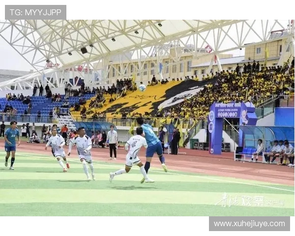 绿茵争锋激情燃烧纵横赛场展现足球无尽魅力 绿茵争锋激情燃烧纵横赛场展现足球无尽魅力