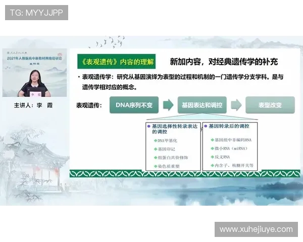V5在挑战者杯中的实力展现与战术分析深度点评