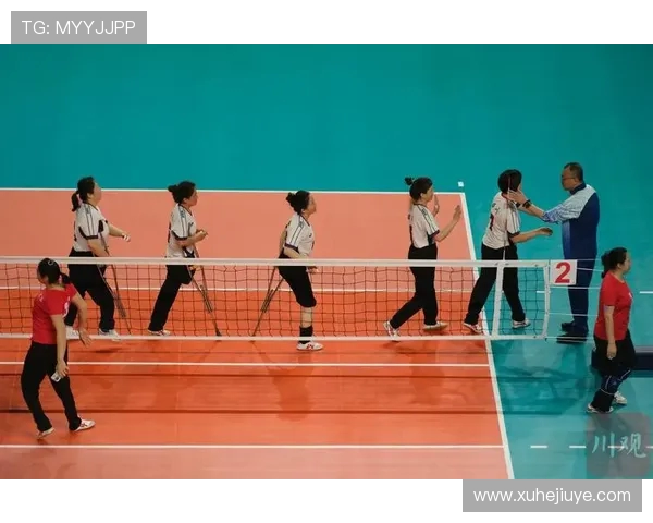 南京排球队整体压制战术解析与比赛表现深度剖析