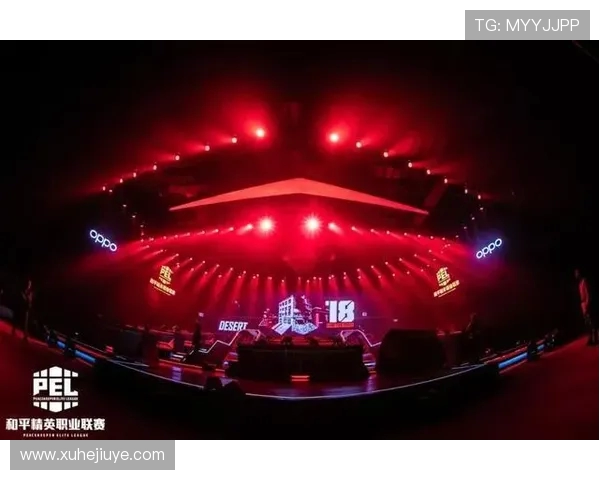 聚焦和平精英：探讨WE战队在比赛中的心理素质与应对策略